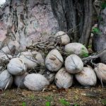 钻石赌场平台全方位服务攻略与新手指南 ulw6exqr7