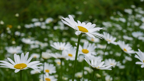 韦德体育平台:探索全球体育赛事的最佳在线娱乐平台 韦德体育平台:探索全球体育赛事的最佳在线娱乐平台