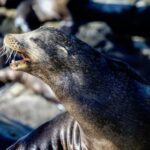 面向全球的千亿体育平台市场布局与机遇分析 641dgty